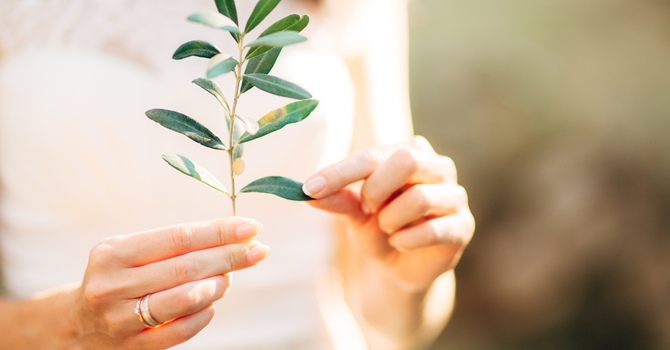 What's Going On When Your Hips Are Making Noise?